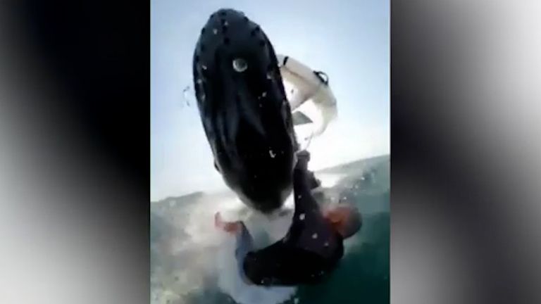 Surfaře srazila velryba, zachytila to kamera